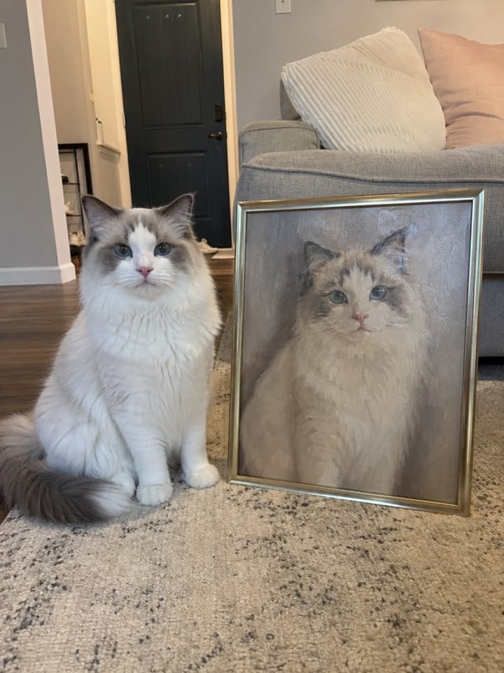 pets 1