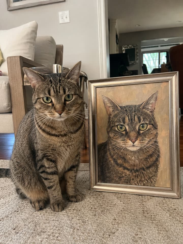 pets 2